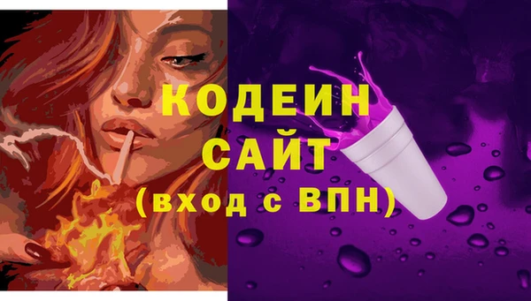 СК Гусь-Хрустальный