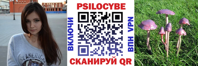 Псилоцибиновые грибы мицелий  Долгопрудный 