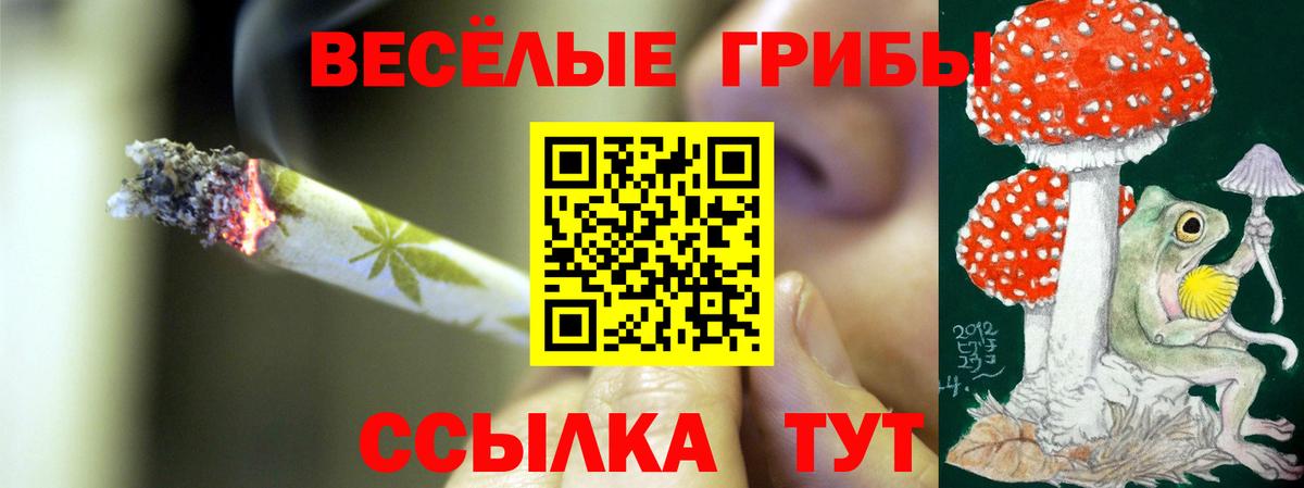 Галлюциногенные грибы MAGIC MUSHROOMS  Вход с VPN  даркнет сайт  Долгопрудный 