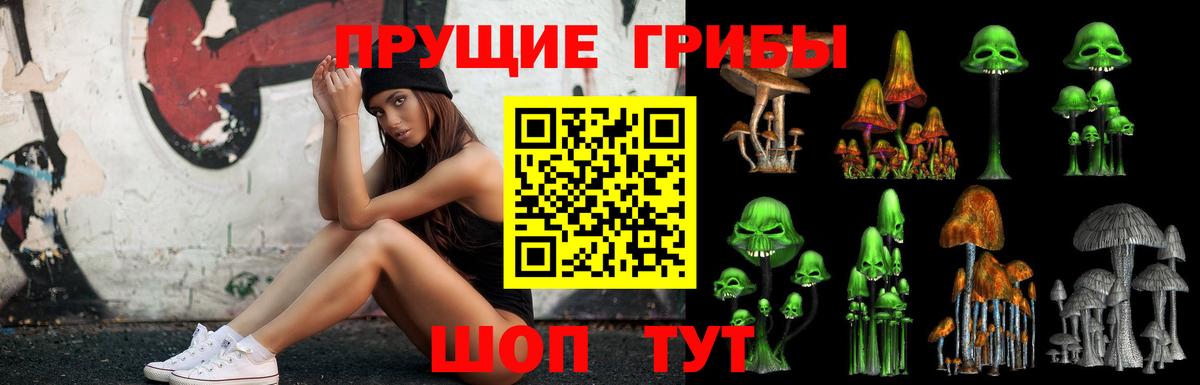 Псилоцибиновые грибы мицелий Долгопрудный